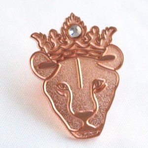 The Complete Buyer’s Guide to Die Struck Brass Pins