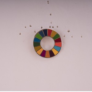 SDGS twarde emaliowane szpilki kółka odznaki organizacyjne