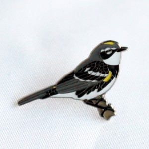 prìneachan cruan cruaidh eun sparrow