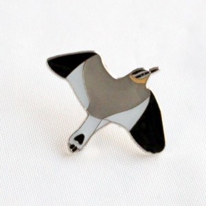 prìneachan cruan cruaidh eun sparrow