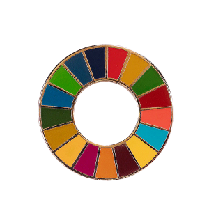 SDG hard enamel lapel pin