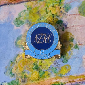 Najwyższej jakości kolorowe magnetyczne klipsy do czapek golfowych Cloisonne z markerem do piłek / akcesoria golfowe Niestandardowy klips do czapek