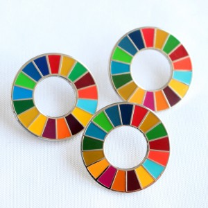 Pini ya lapel ya enamel ngumu ya SDG