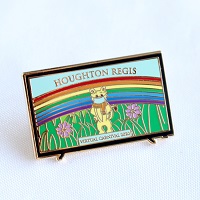 rainbow pins